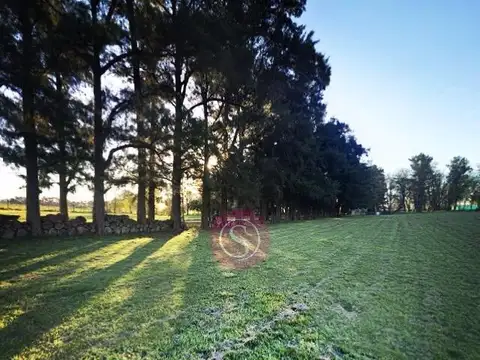 Terreno en Venta en Alejandro Petion, Partido de Cañuelas