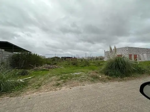 Terreno en Venta en Zarate, Partido de Zárate