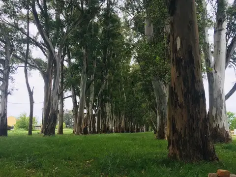 Terreno en Venta en Lobos Country Club, Lobos
