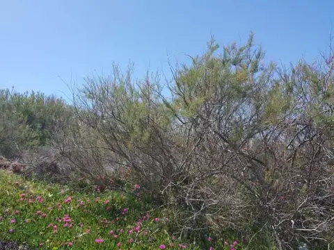 Terreno en Venta en San Clemente del Tuyu, Partido de La Costa