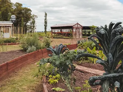 Terreno en Venta en Villa Espil, Partido de San Andrés de Giles