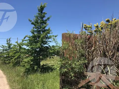 Terreno en Venta en San Pedro, Partido de San Pedro