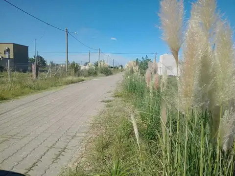 Terreno en Venta en Centro  - Zarate, Zarate
