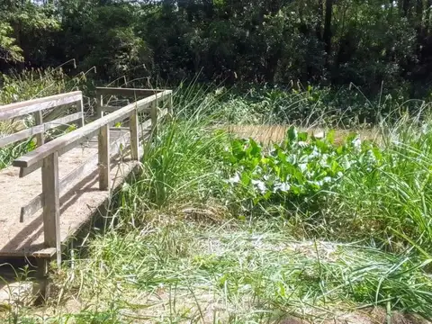 Terreno en Venta en Delta del Tigre, Partido de Tigre