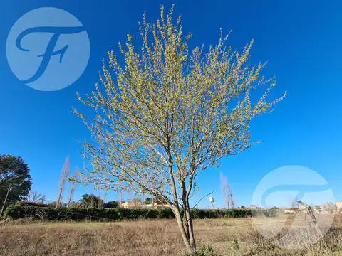 Terreno en Venta en San Pedro, Partido de San Pedro