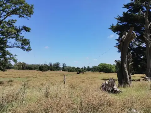 Terreno en Venta en Mar del Plata, Partido de General Pueyrredón