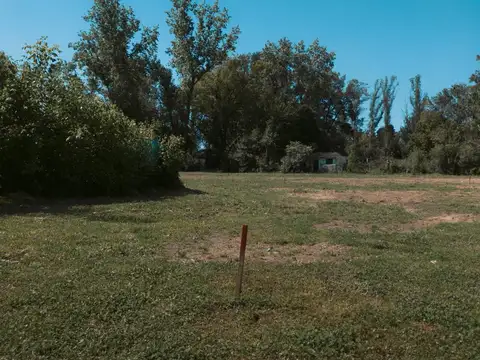 Terreno en Venta en Pinazo, Del Viso