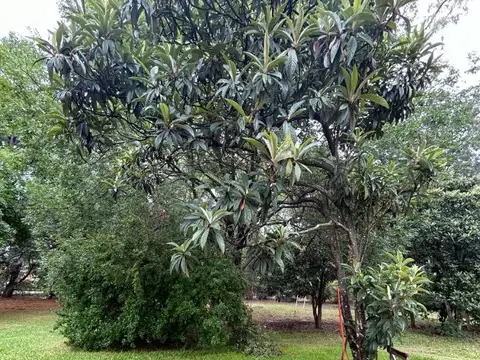 Terreno en Venta en Los Pioneros, Campana