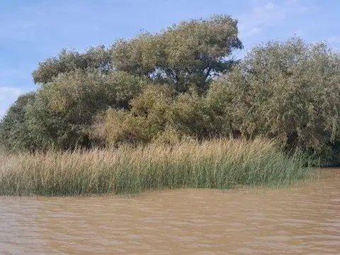 Terreno en Venta en Delta del Tigre, Partido de Tigre