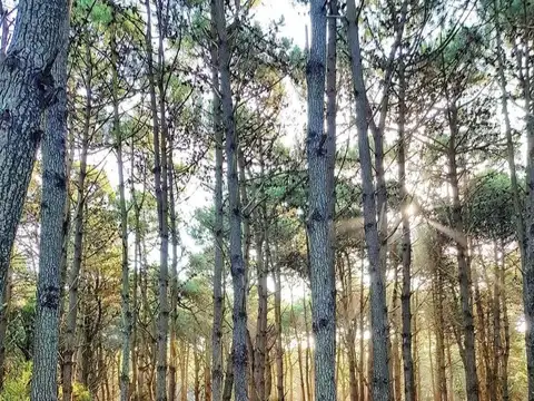Terreno en Venta en Costa del Este, Partido de La Costa