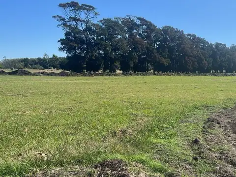 Terreno en Venta en General Juan Madariaga, Partido de General Juan Madariaga