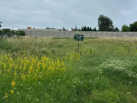 Terreno en Venta en Trenque Lauquen, Partido de Trenque Lauquen