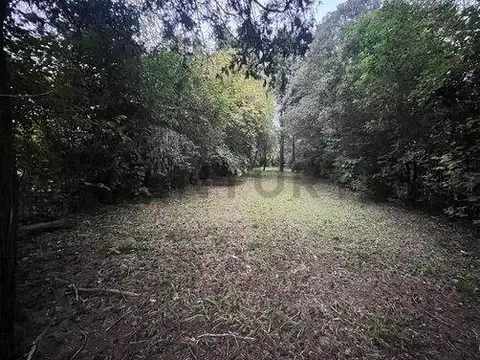 Terreno en Venta en Centro  - Moreno, Moreno