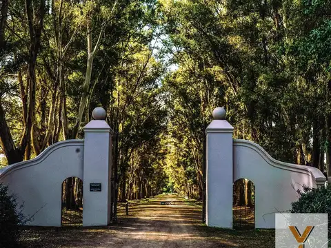 Terreno en Venta en Villa Ruiz, Partido de San Andrés de Giles