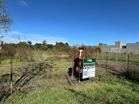Terreno en Venta en Lobos, Partido de Lobos
