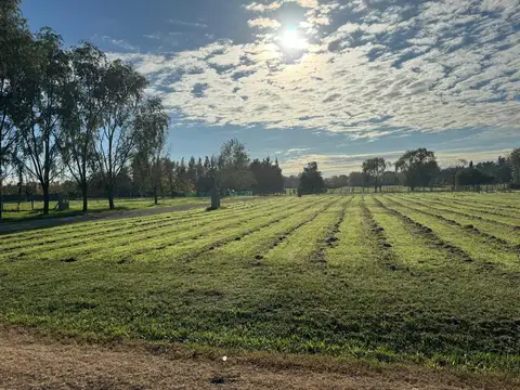 Terreno en Venta en Manzanares, Partido de Pilar
