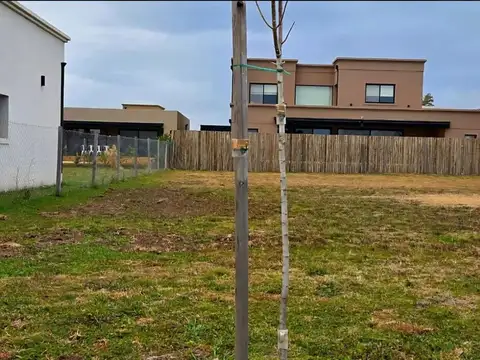Terreno en Venta en Pilar Del Este - Santa Elisa, Countries y Barrios Cerrados en Pilar