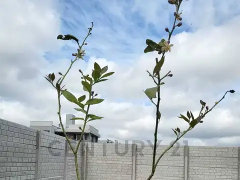 Terreno en Venta en Manuel B Gonnet, Partido de La Plata