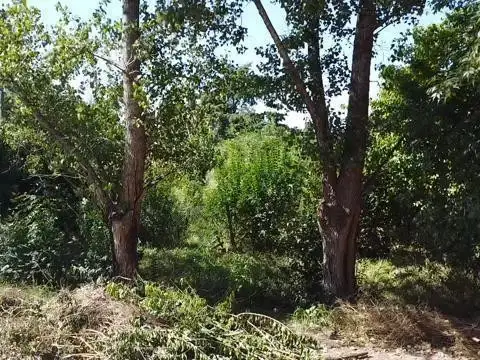 Terreno en Venta en Parque Sakura, Countries y Barrios Cerrados en Exaltacion de la Cruz