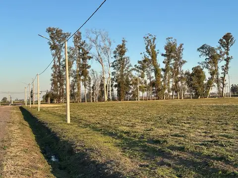 Terreno en Venta en Exaltacion de la Cruz, Partido de Exaltación de la Cruz