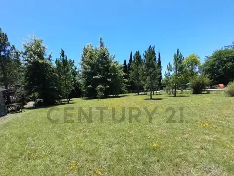 Terreno en Venta en Arturo Segui, Partido de La Plata