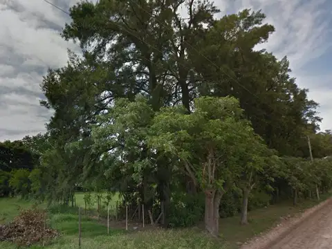 Terreno en Venta en Centro Agricola el Pato, Partido de Berazategui