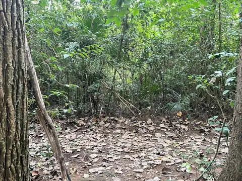 Terreno en Venta en Delta del Tigre, Partido de Tigre