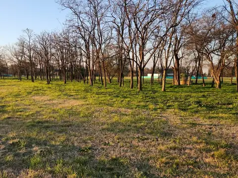 Terreno en Venta en Santa Elena, Lujan
