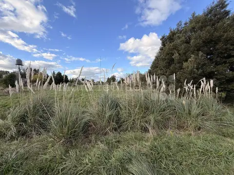 Terreno en Venta en Chascomus, Partido de Chascomús