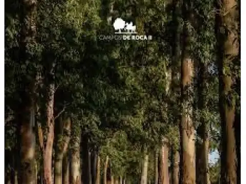 Terreno en Venta en Campos De Roca II, Countries y Barrios Cerrados en la Plata
