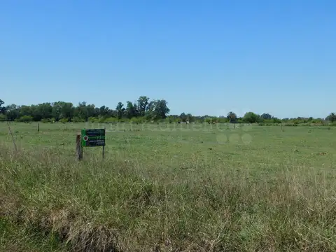 Terreno en Venta en Chascomus, Partido de Chascomús