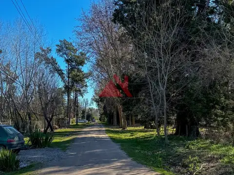 Terreno en Venta en Los Pinos, Exaltacion de la Cruz