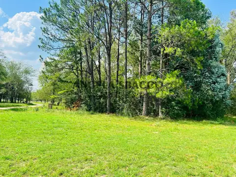 Terreno en Venta en Los Pinos, Exaltacion de la Cruz