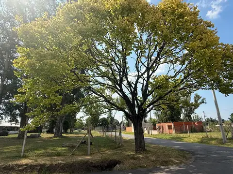 Terreno en Venta en Barrio Belen, Belen de Escobar