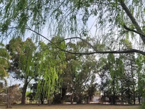 Terreno en Venta en Coronel Brandsen, Partido de Brandsen
