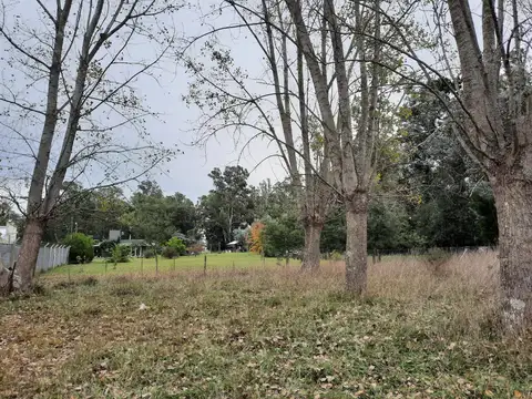 Terreno en Venta en Chascomus, Partido de Chascomús