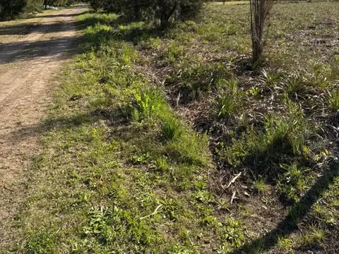 Terreno en Venta en Cucullu, Partido de San Andrés de Giles