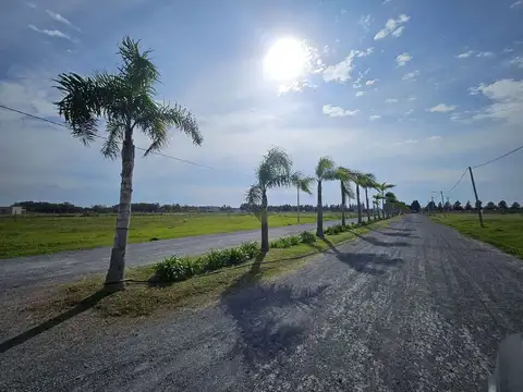 Terreno en Venta en Alto Los Cardales, Campana