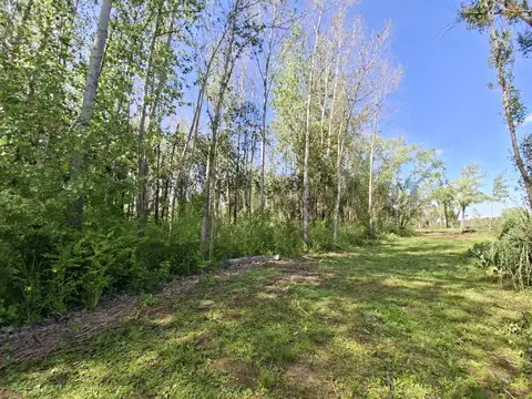 Terreno en Venta en Islas, Partido de San Fernando