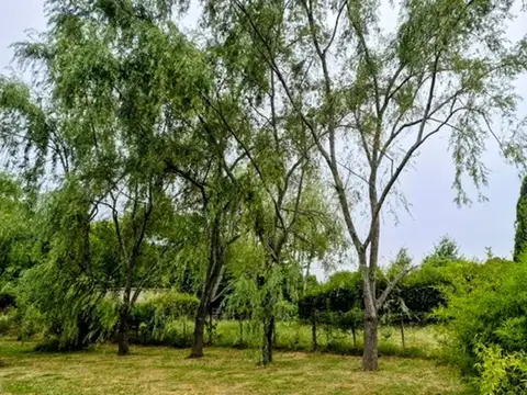 Terreno en Venta en Duggan, Partido de San Antonio de Areco