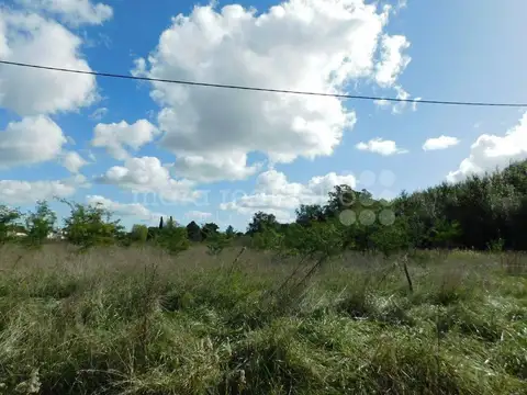 Terreno en Venta en Chascomus, Partido de Chascomús