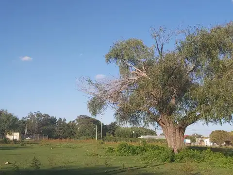 Terreno en Venta en Lobos, Partido de Lobos