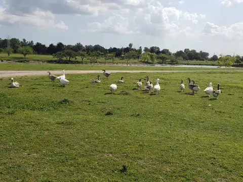 Terreno en Venta en Agua de Oro, General Rodriguez