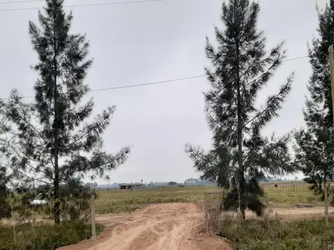 Terreno en Venta en Villars, Partido de General Las Heras