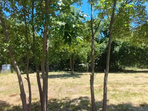 Terreno en Venta en Chascomus, Partido de Chascomús