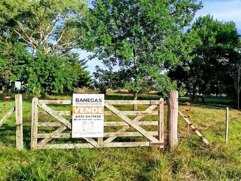 Terreno en Venta en Lisandro Olmos Etcheverry, Partido de La Plata