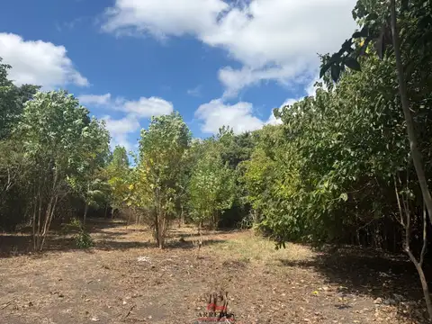 Terreno en Venta en Parque Sakura, Countries y Barrios Cerrados en Exaltacion de la Cruz