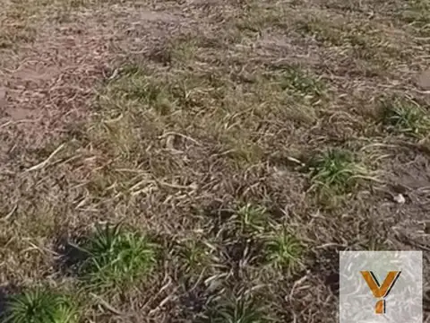 Terreno en Venta en Cañuelas, Partido de Cañuelas