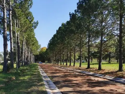 Terreno en Venta en Pilar Centro, Pilar