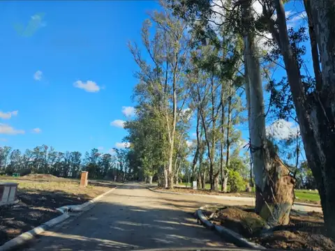 Terreno en Venta en Pilar Del Este, Countries y Barrios Cerrados en Pilar